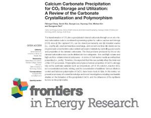 Calcium Carbonate Precipitation for CO2 Storage and Utilization: A Review of the Carbonate Crystallization and Polymorphism