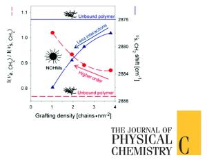 Spectroscopic Investigation of the Canopy Configurations in Nanoparticle Organic Hybrid Materials of Various Grafting Densities during CO2 Capture