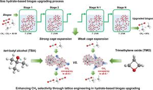 Tailoring gas hydrate lattice dimensions for enhanced methane selectivity in biogas upgrading