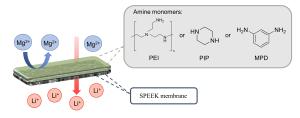 Amine-Modified SPEEK Membranes via Interfacial Polymerization for Li+/Mg2+ Separation in Electrically Driven Systems