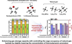 Enhancing gas storage capacity by controlling the cage occupancy of natural gas hydrate